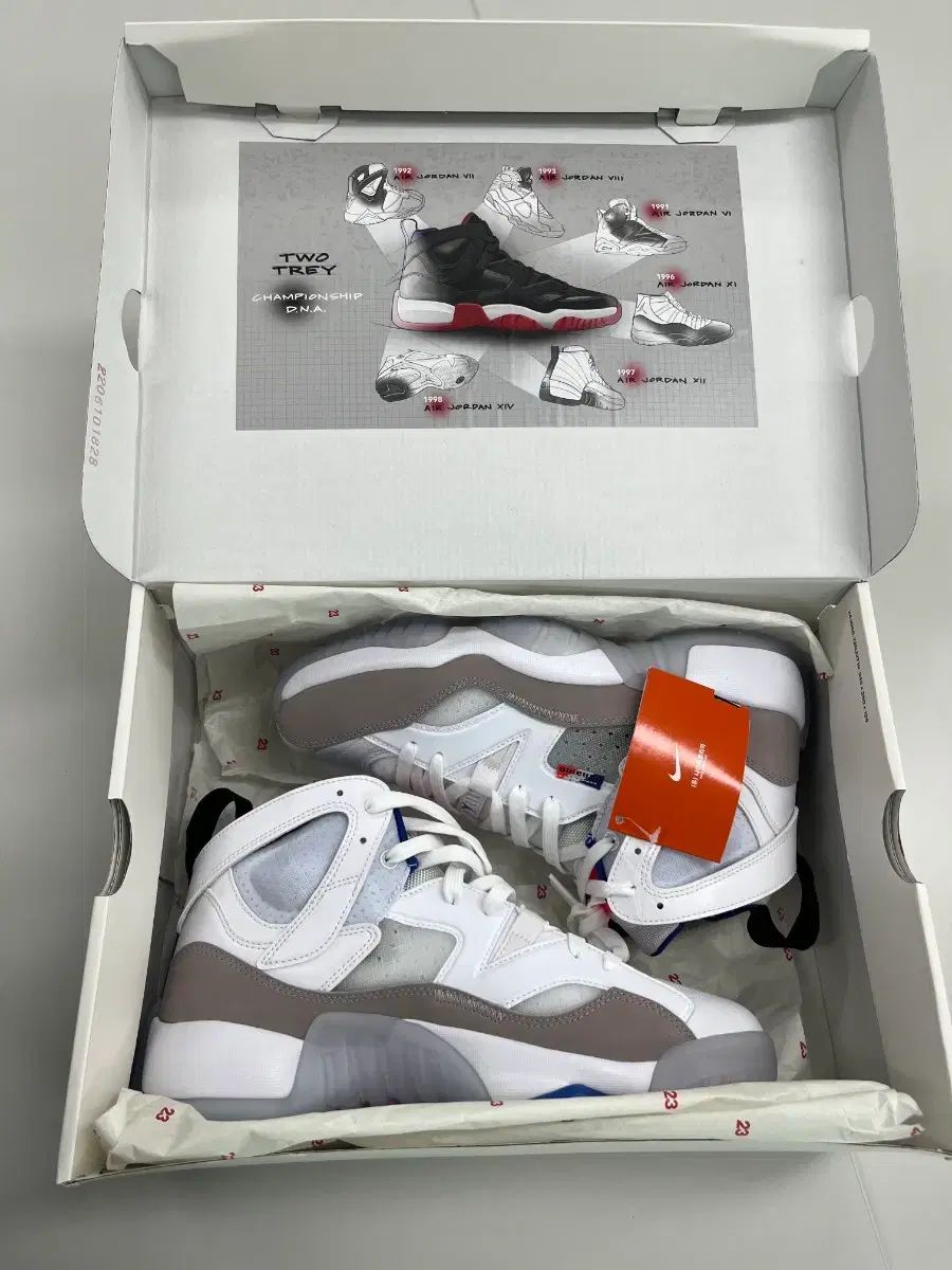 パリ サンジェルマン × ジョーダン ジャンプマン トゥ トレー