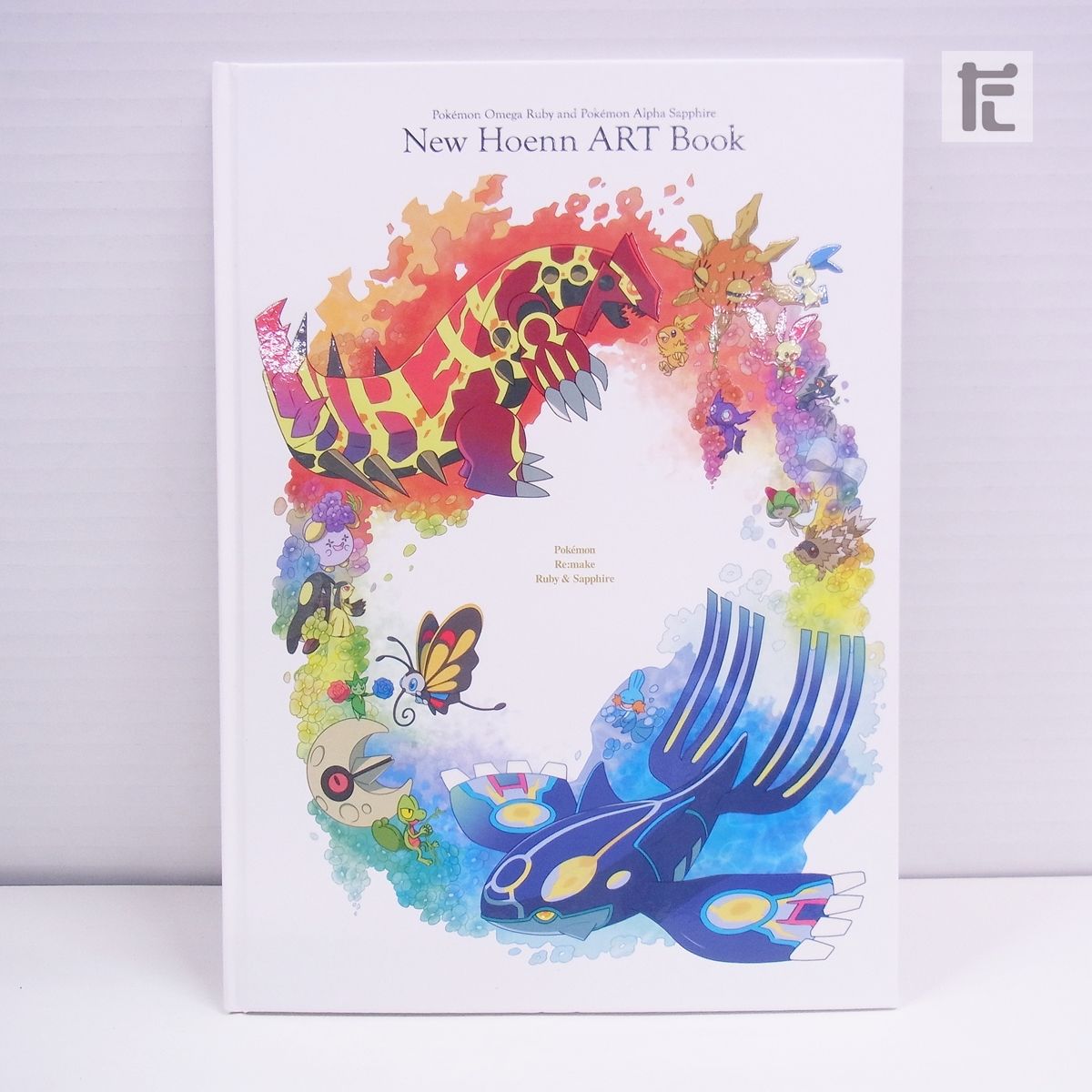 非売品 ポケモンセンター ニューホウエン アートブック 2014年発行 New