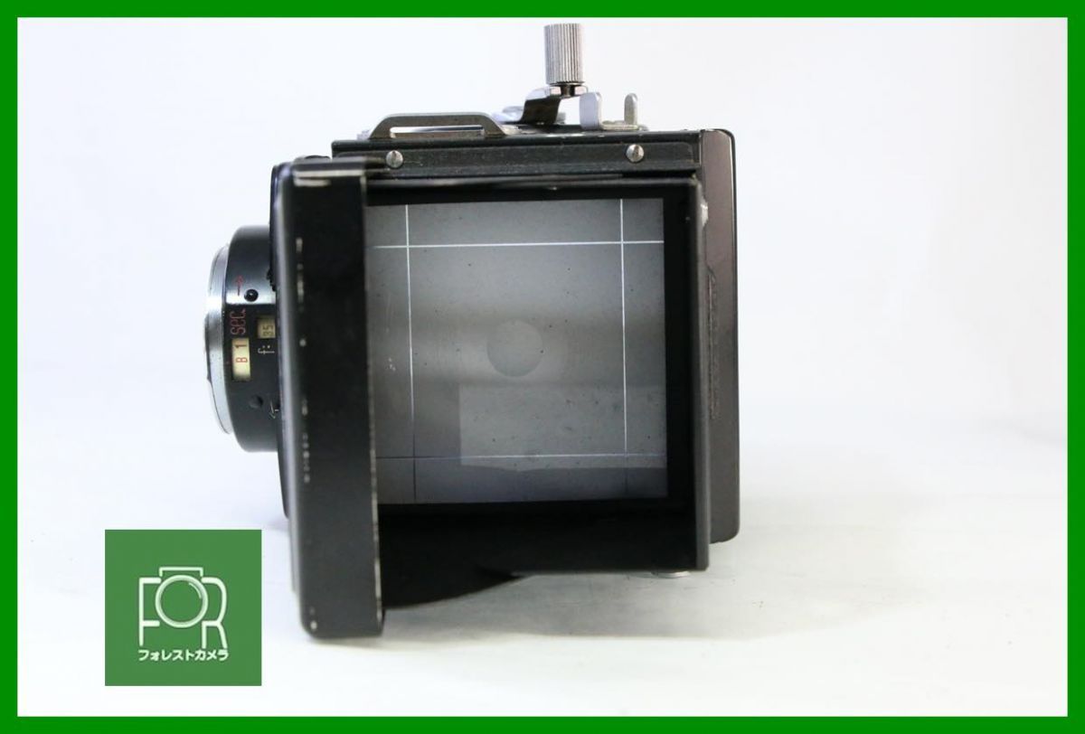 367411 シャッター全速