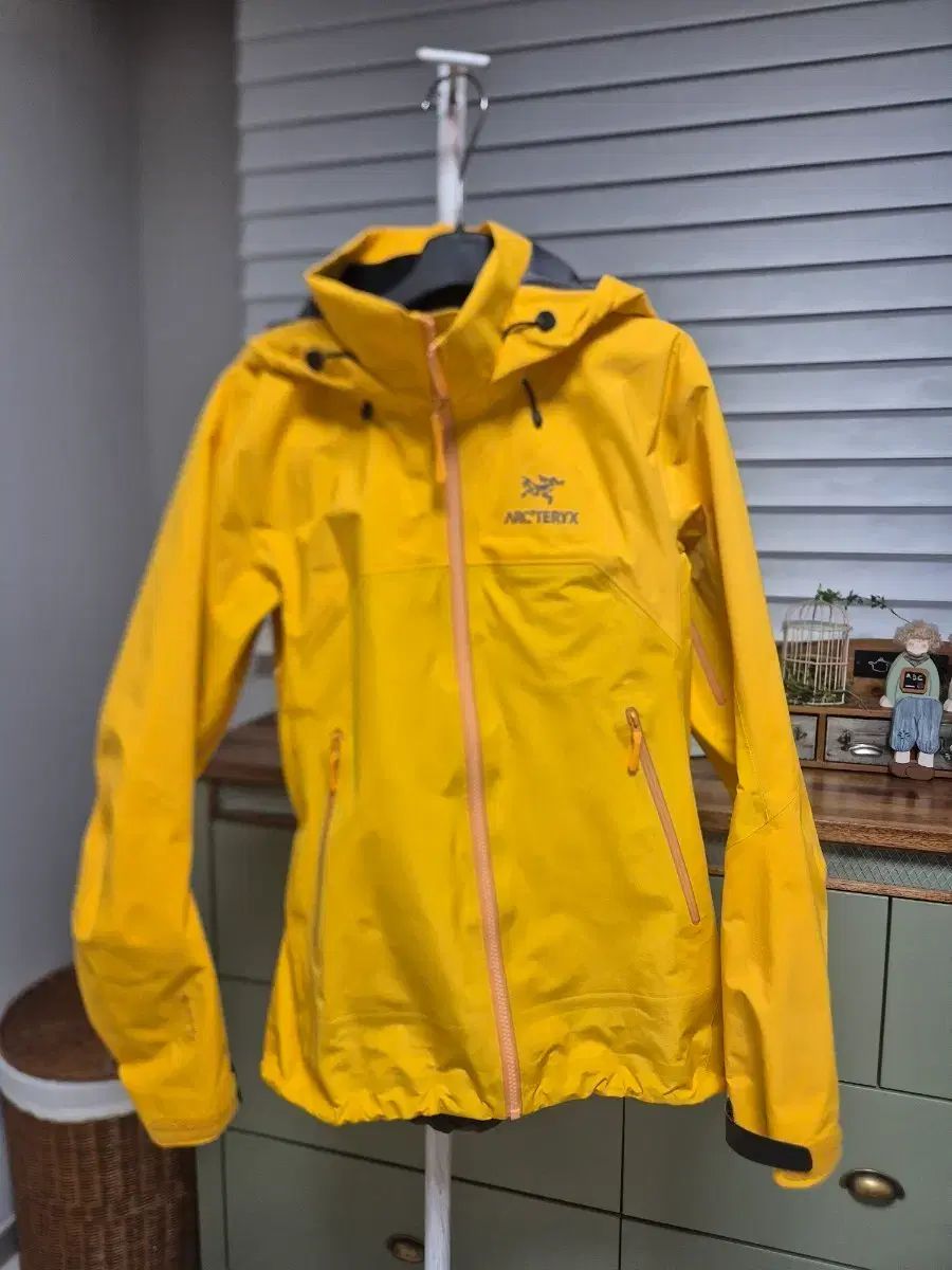ARC TERYX アークテリクス ベータARウィンドブレーカー S