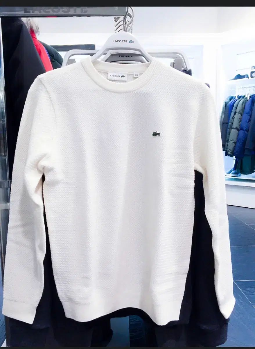 LACOSTE ラコステ ラウンド ネック フール オーバ セーター 4 100 グリーン ニット セーター トップス メンズ