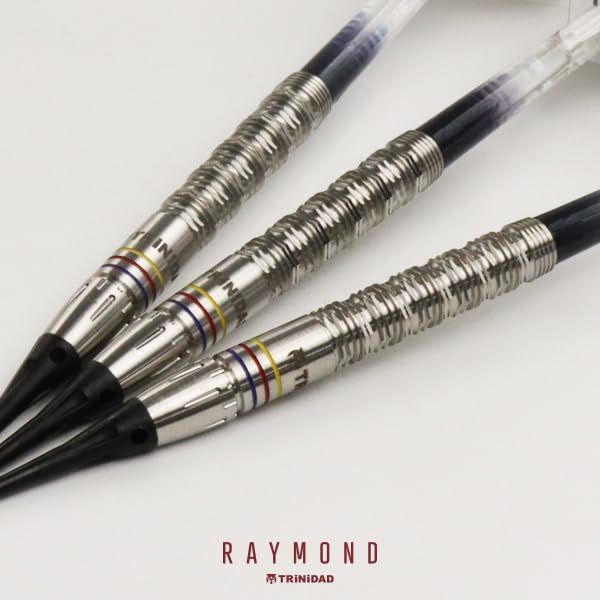 新着商品 Soft トリニダード プロ Raymond レイモンド PRO ダーツ バレル TRiNiDAD ソフト 立体パズル ダーツ パズル ボードゲーム