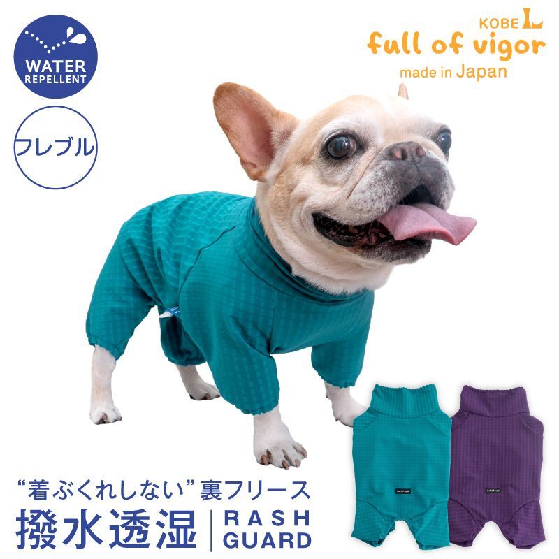 茶道具 風炉先屏風 利休梅 長谷川寛州 自画賛浜松画 「 和心 」