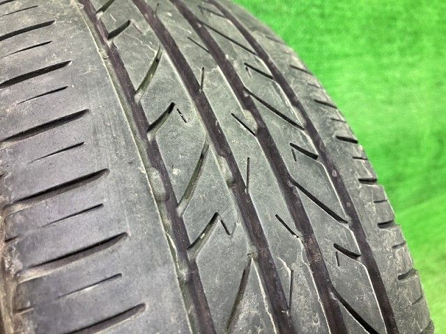 サマー ディトン