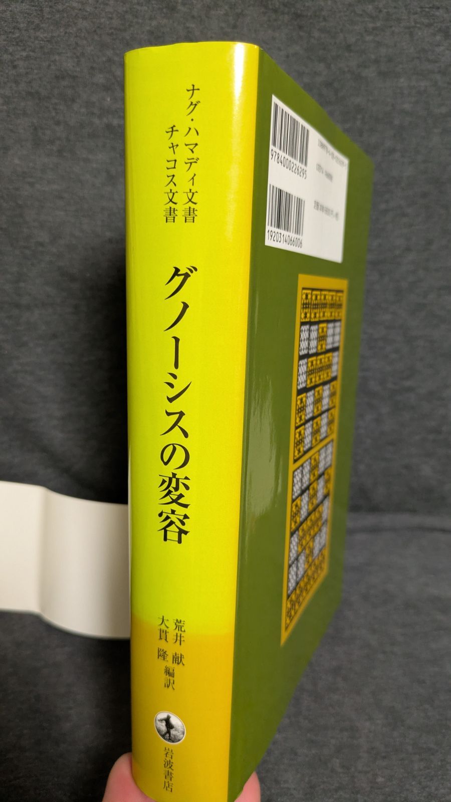 グノーシスの変容 ナグ ハマディ文書 チャコス文書 荒井献 大貫隆ほか編