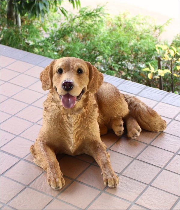 ゴールデンレトリバー　置物　オブジェ　犬　いぬ　玄関　エントランス　ガーデン　庭 犬 置物 ゴールデンレトリバー 屋外 玄関 リアル 大型 大きい オブジェ