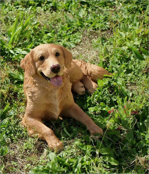 犬 置物 ゴールデンレトリバー 屋外 玄関 リアル 大型 大きい オブジェ
