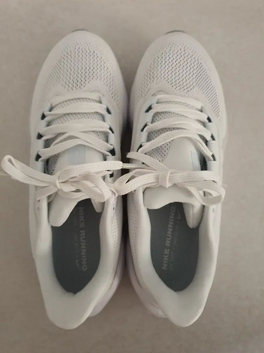 ナイキ ペガサス ランニングシューズ