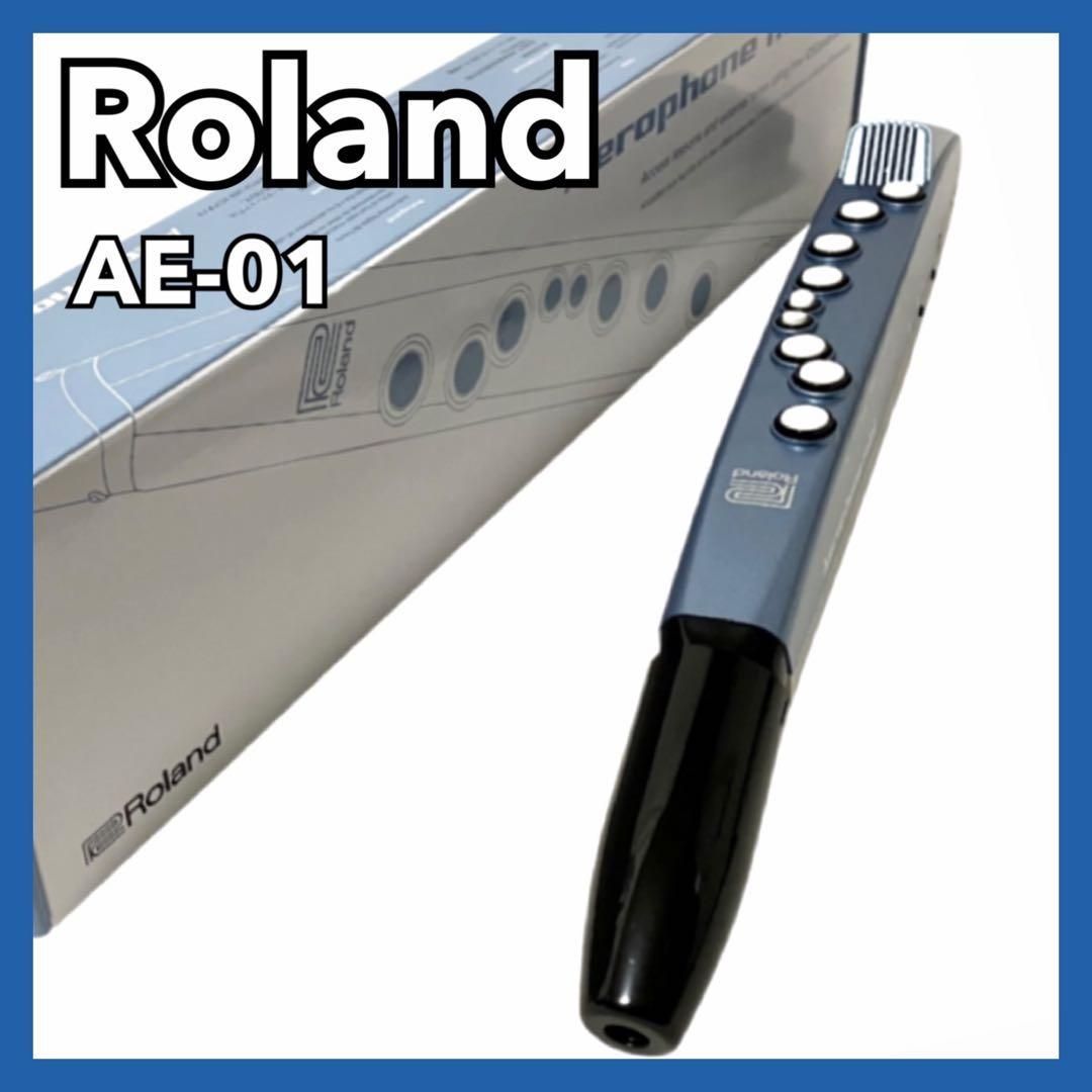 Roland AEROPHONE Mini エアロフォン ウィンドシンセサイザー AE-01