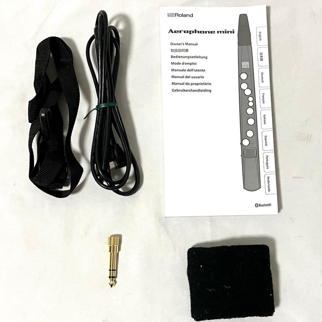 Roland Mini エアロフォン ウィンドシンセサイザー AE 01 ローランド デジタル管楽器