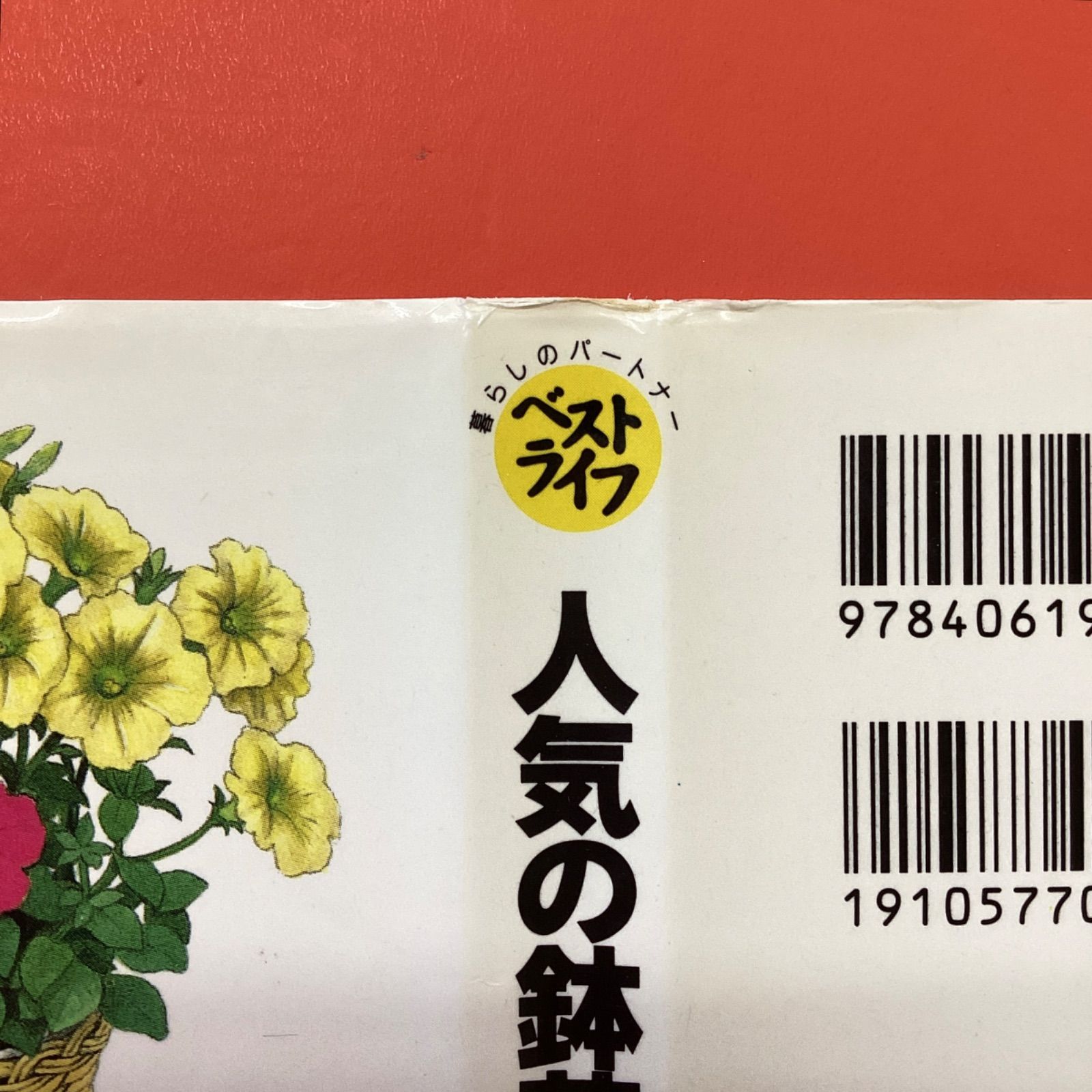 人気の鉢花88 鉢花カラー図鑑つき 栽培のコツとタブー ym_a1041_5441