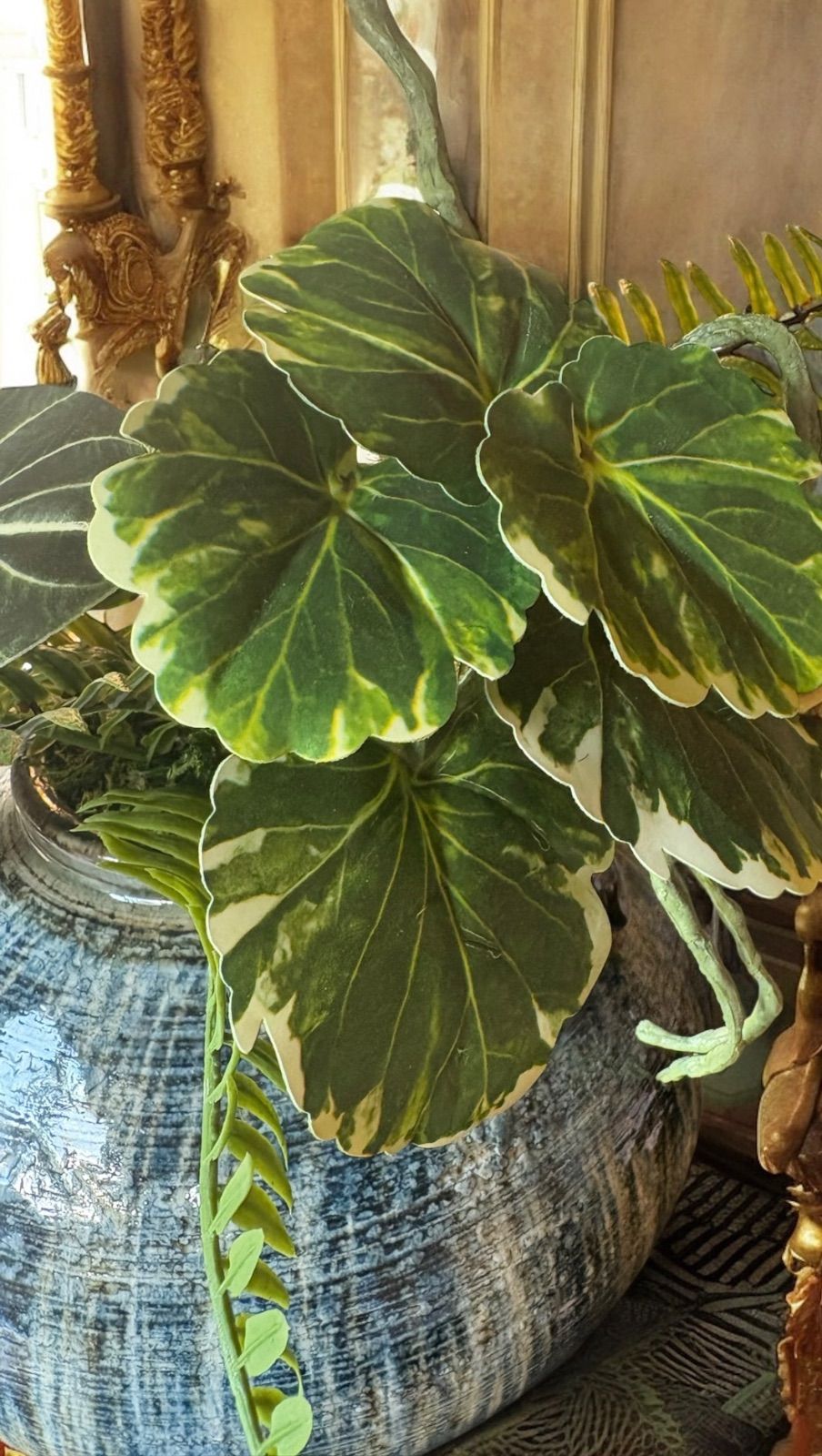 光触媒 人工観葉植物 フェイクグリーン モンステラバリエガータ