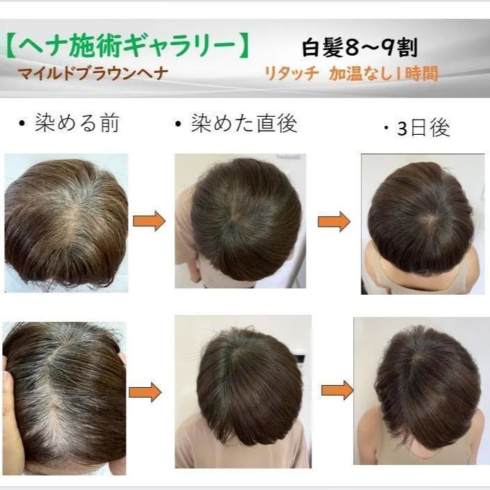 プラチナヘナ ヘナ白髪染め ヘナカラー ヘナトリートメント マイルド
