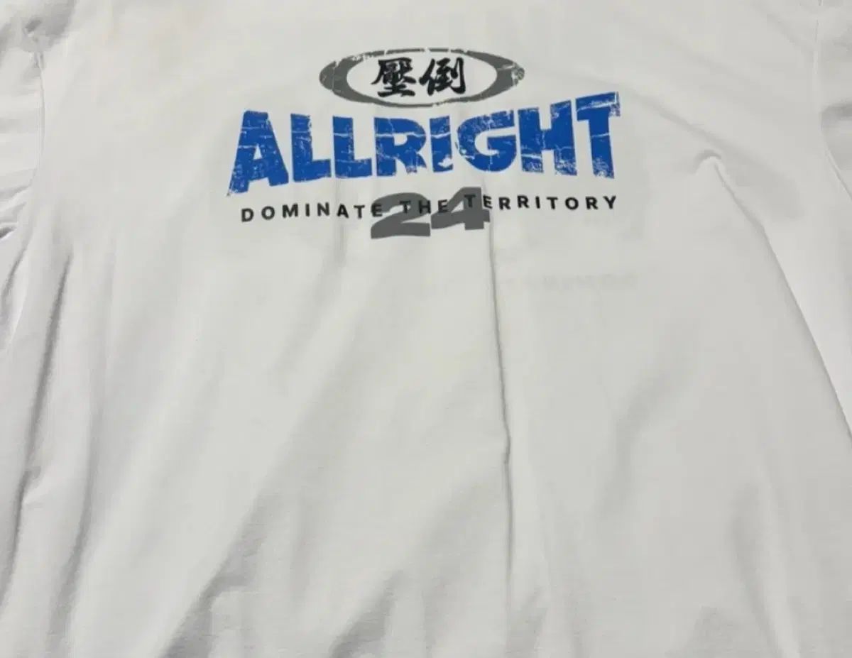 圧倒オールRIGHT 白 Lサイズ