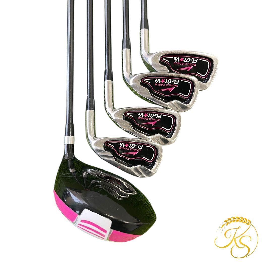 レディース ゴルフクラブ ５本 WORLD EAGLE FL-01 V 2 右 カーボン