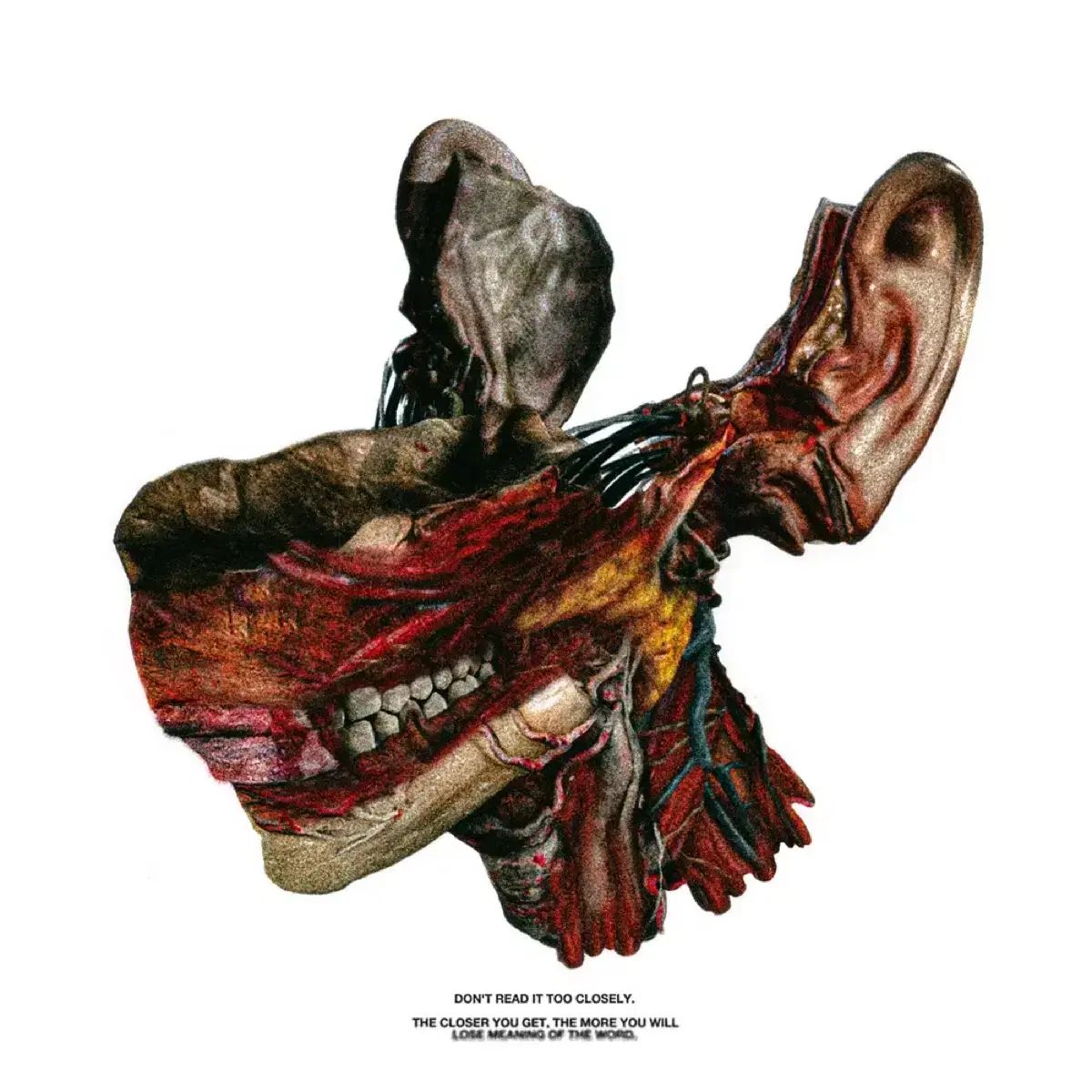 イ ヒョンジュン ロスト イン トランスレーション LP