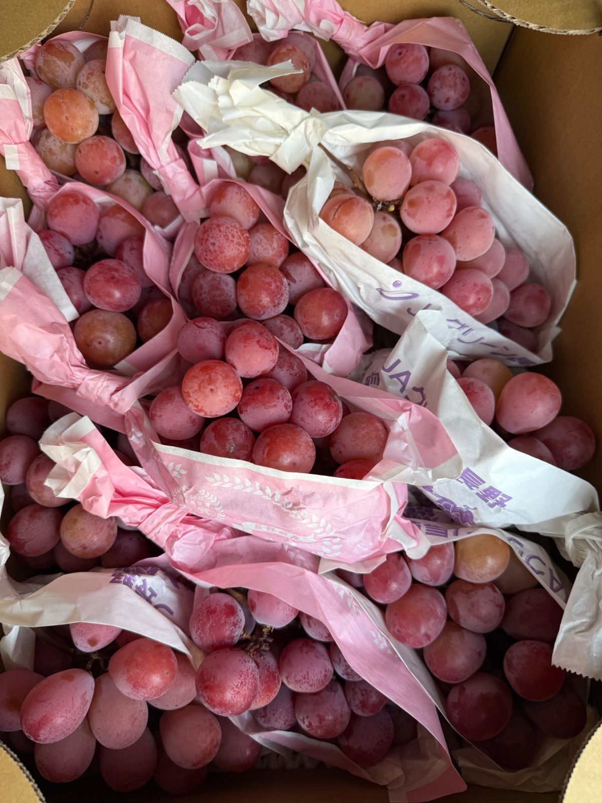 長野県産クイーンニーナ 注文 長野県産】クイーンニーナ4kg