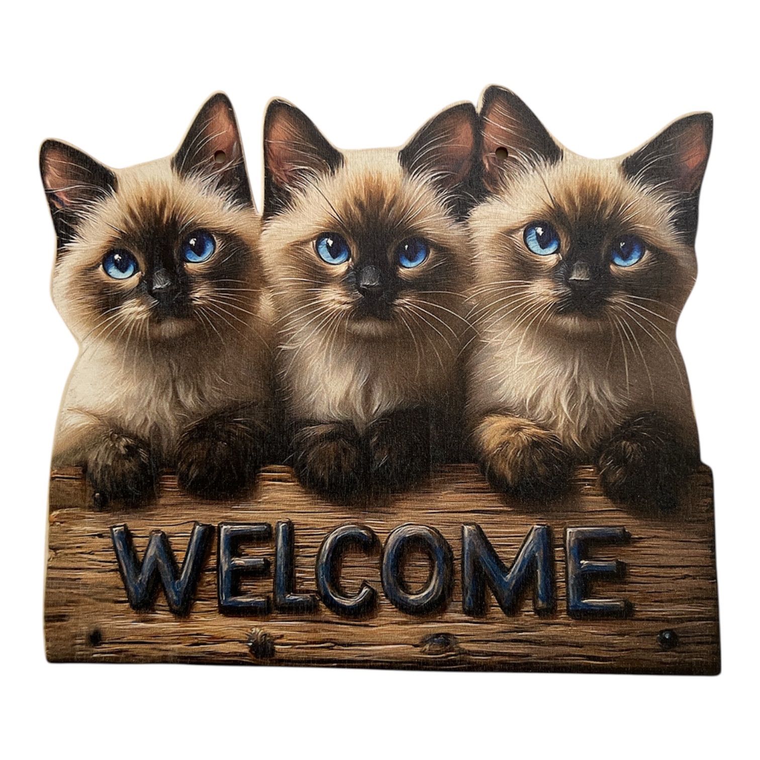 訳あり】ウェルカムボード 3匹子猫 WELCOMEボード 玄関飾り🐾 - メルカリ