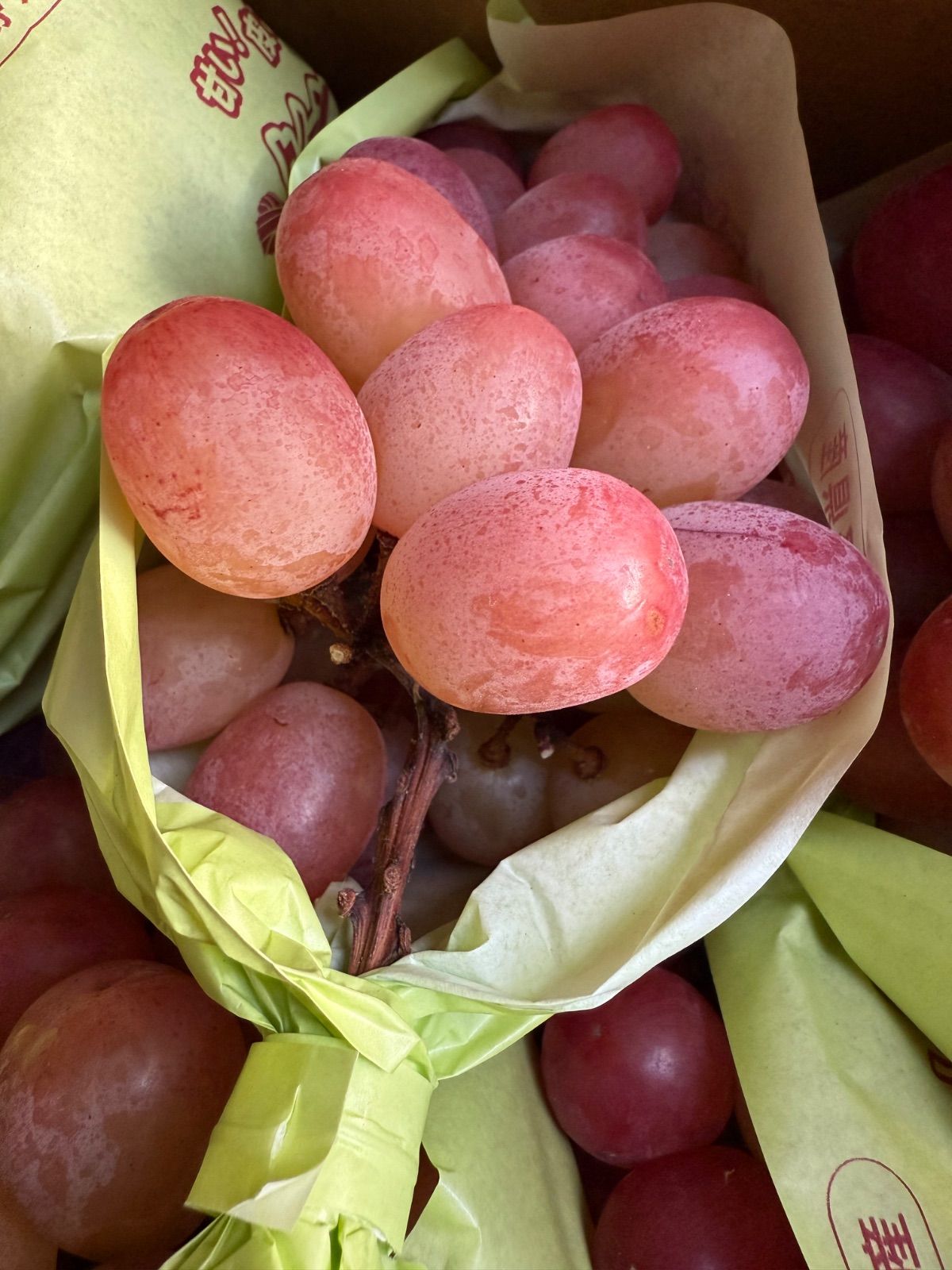 長野産クイーンルージュ 3房 訳あり家庭用 - メルカリ