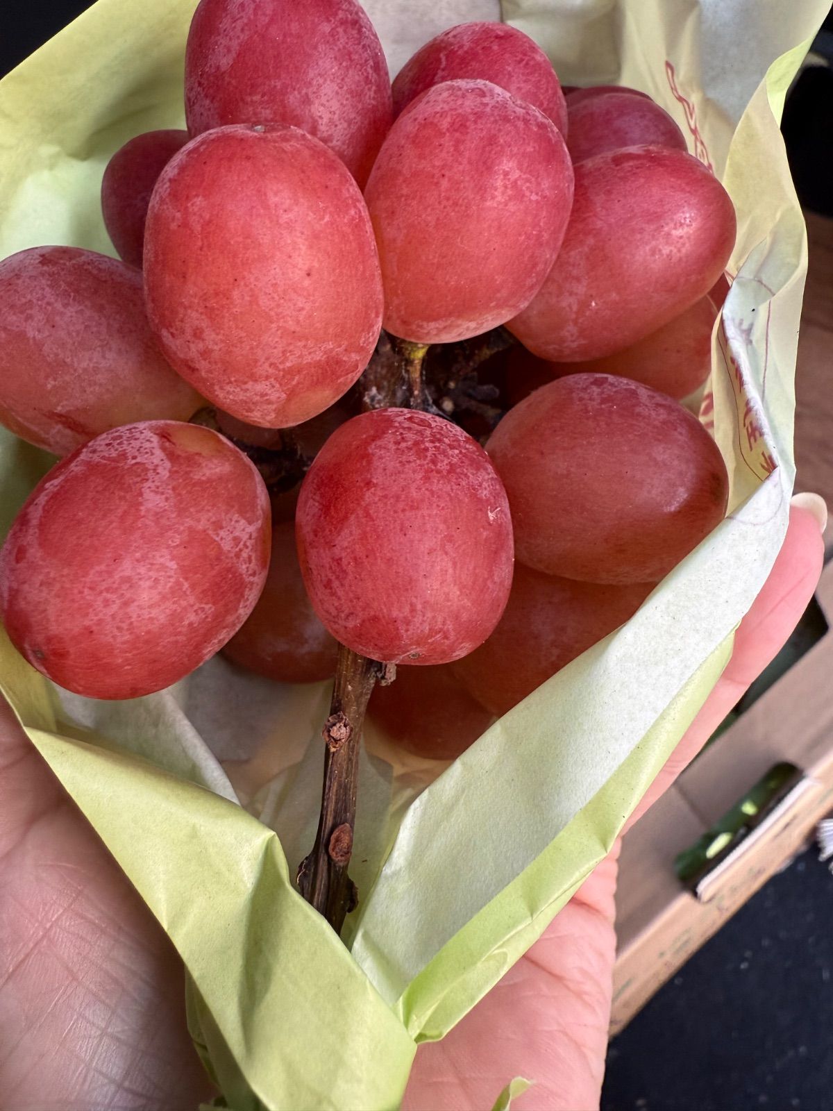 長野産クイーンルージュ 3房 訳あり家庭用 - メルカリ