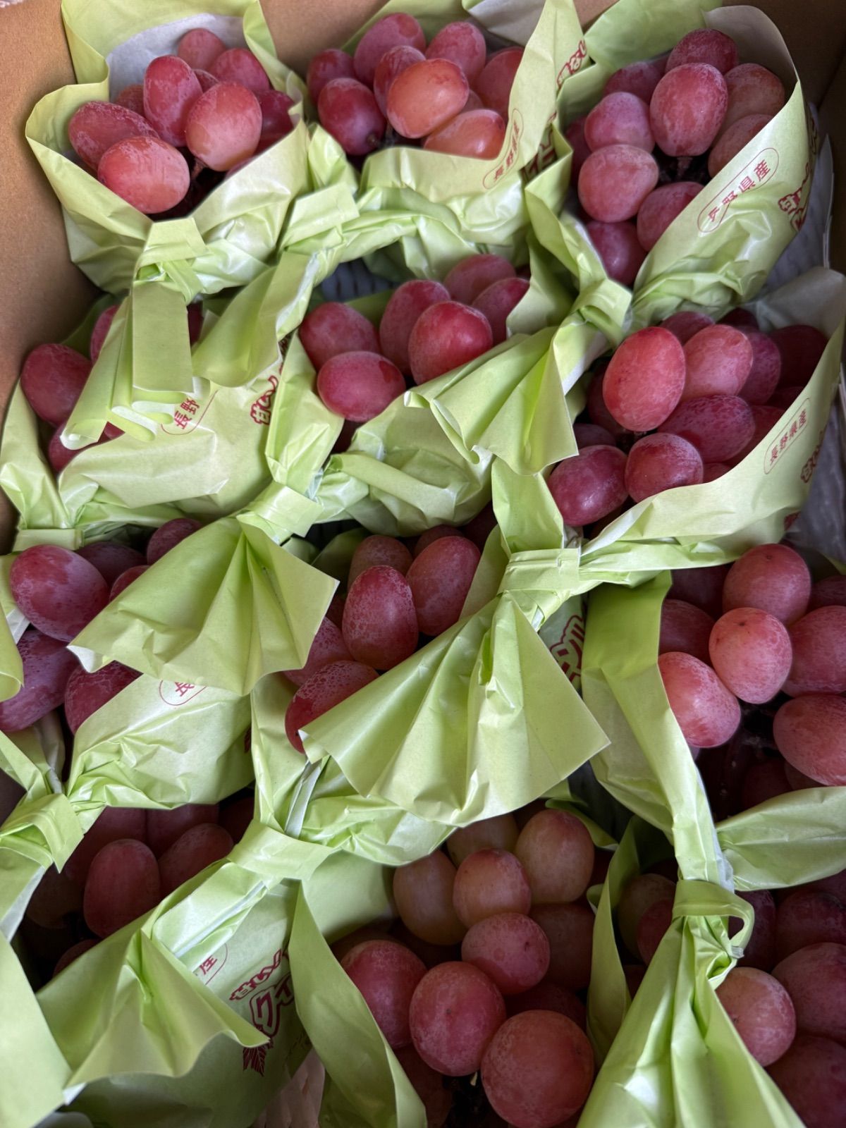 長野産クイーンルージュ 3房 訳あり家庭用 - メルカリ