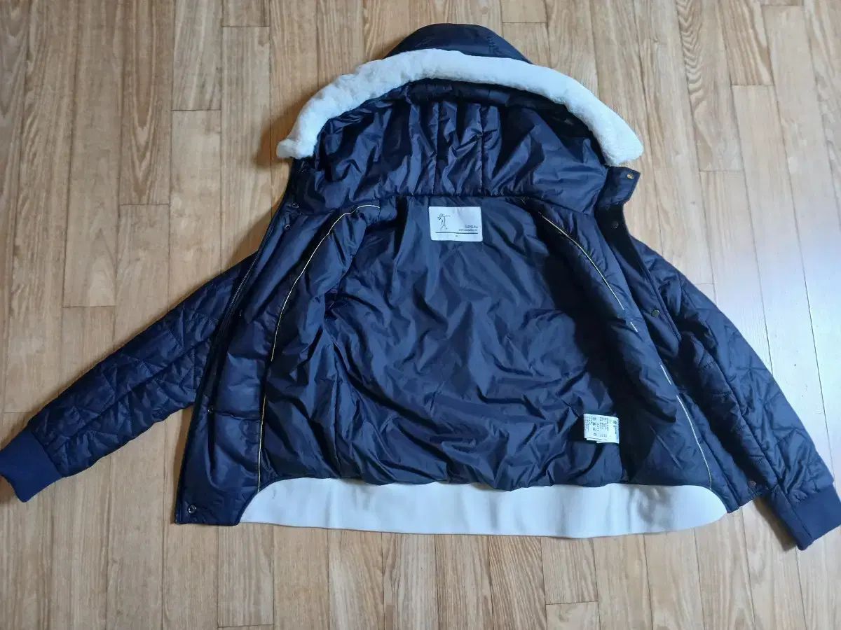 LPGAレディースゴルフダウン85