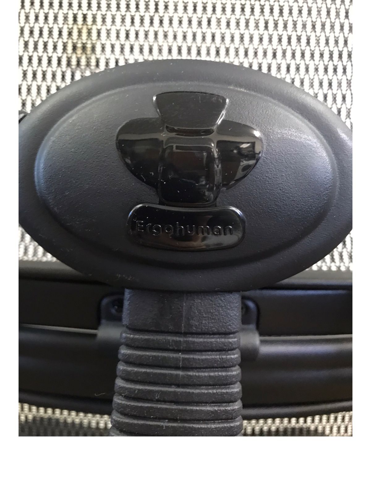 エルゴヒューマン