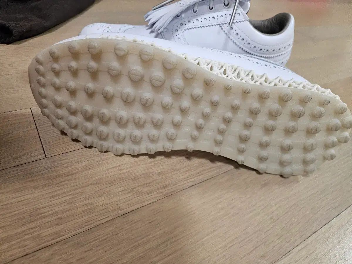 アディダス レディースゴルフシューズ 230 社会人ゴルフ用品 シューズ(男性用) 