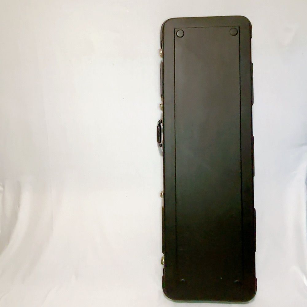 美品】希少良品 MUSICMAN Stingray 5用 ハードケース スティングレイ