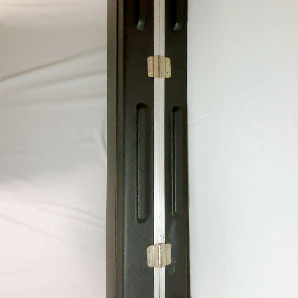 美品】希少良品 MUSICMAN Stingray 5用 ハードケース スティングレイ