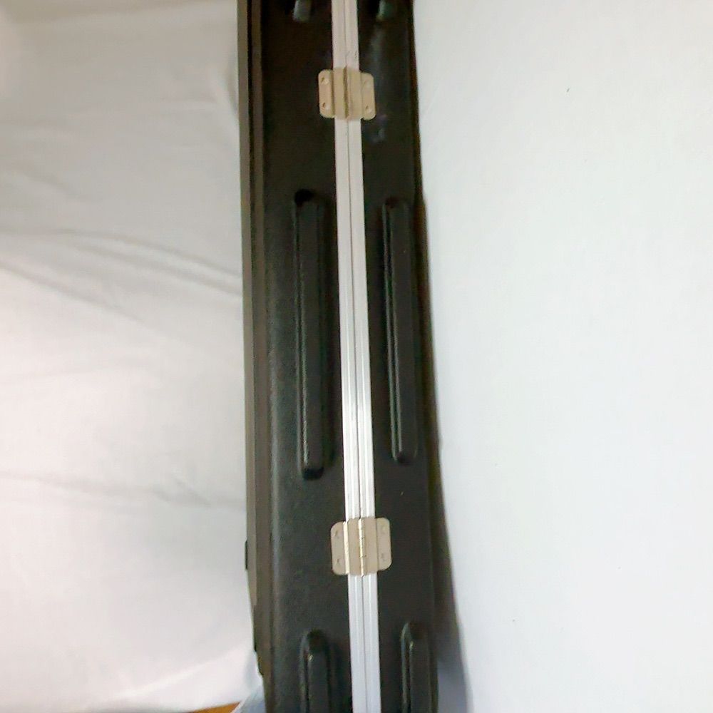 美品】希少良品 MUSICMAN Stingray 5用 ハードケース スティングレイ