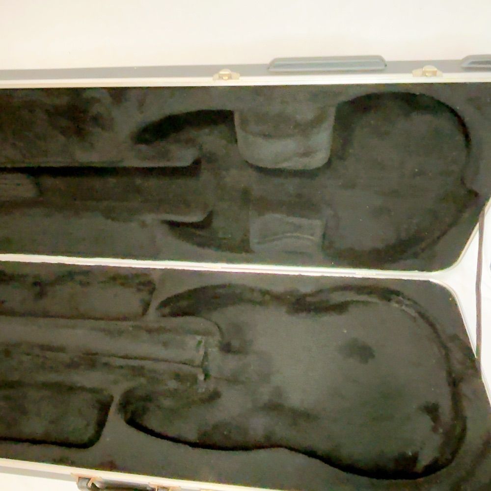 美品】希少良品 MUSICMAN Stingray 5用 ハードケース スティングレイ