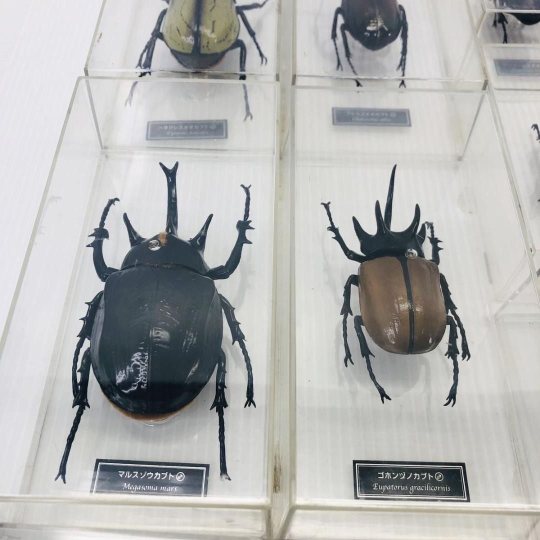 デアゴスティーニ 世界の昆虫 カブトムシ まとめ - メルカリ