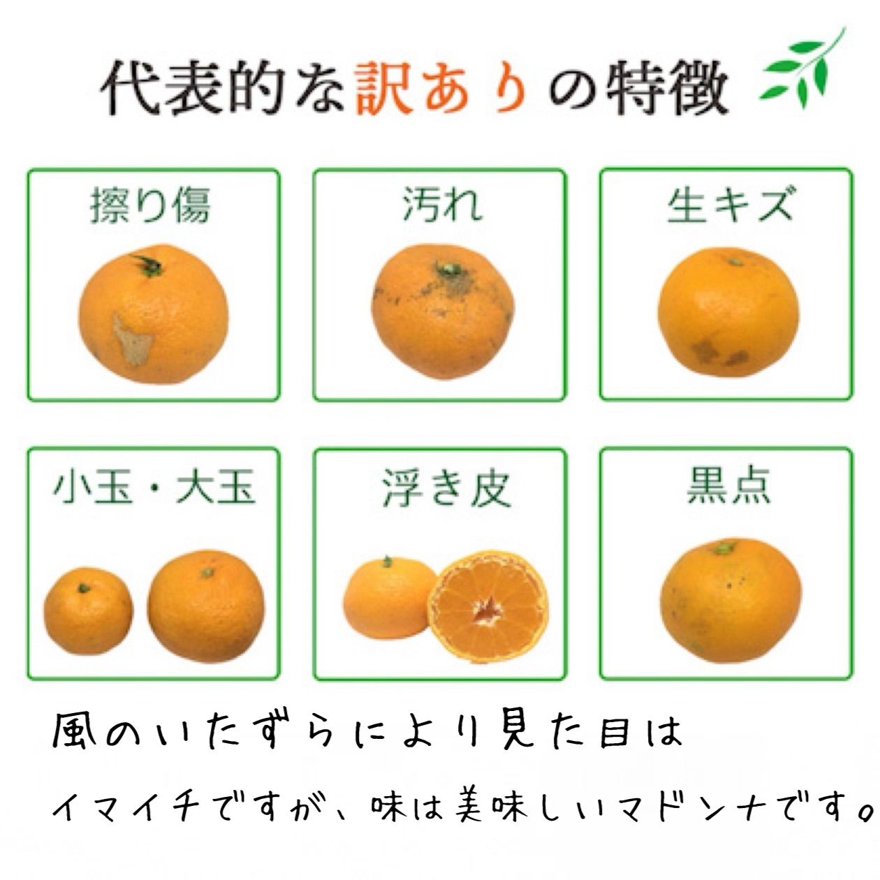 ⑩【小玉】紅マドンナ同品種 愛果28号 まどんな ⑩【小玉】紅マドンナ