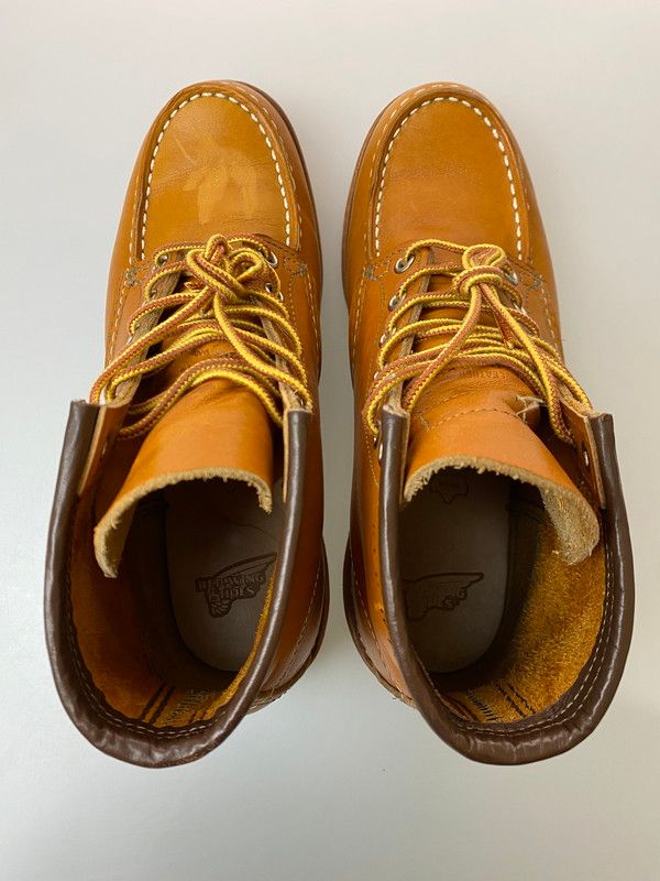 中古品】RED WING レッドウィング IRISH SETTER 9875 復刻犬タグ アイ