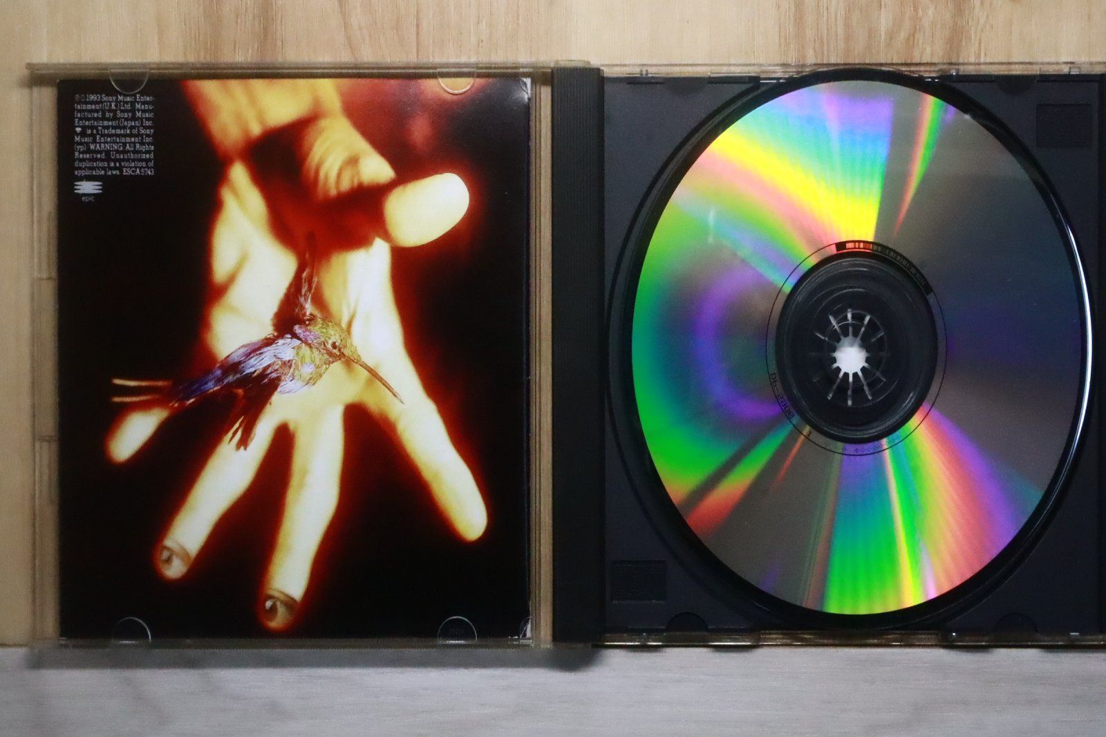 国内盤CD☆テレンス・トレント・ダービー/Terence Trent D'Arby