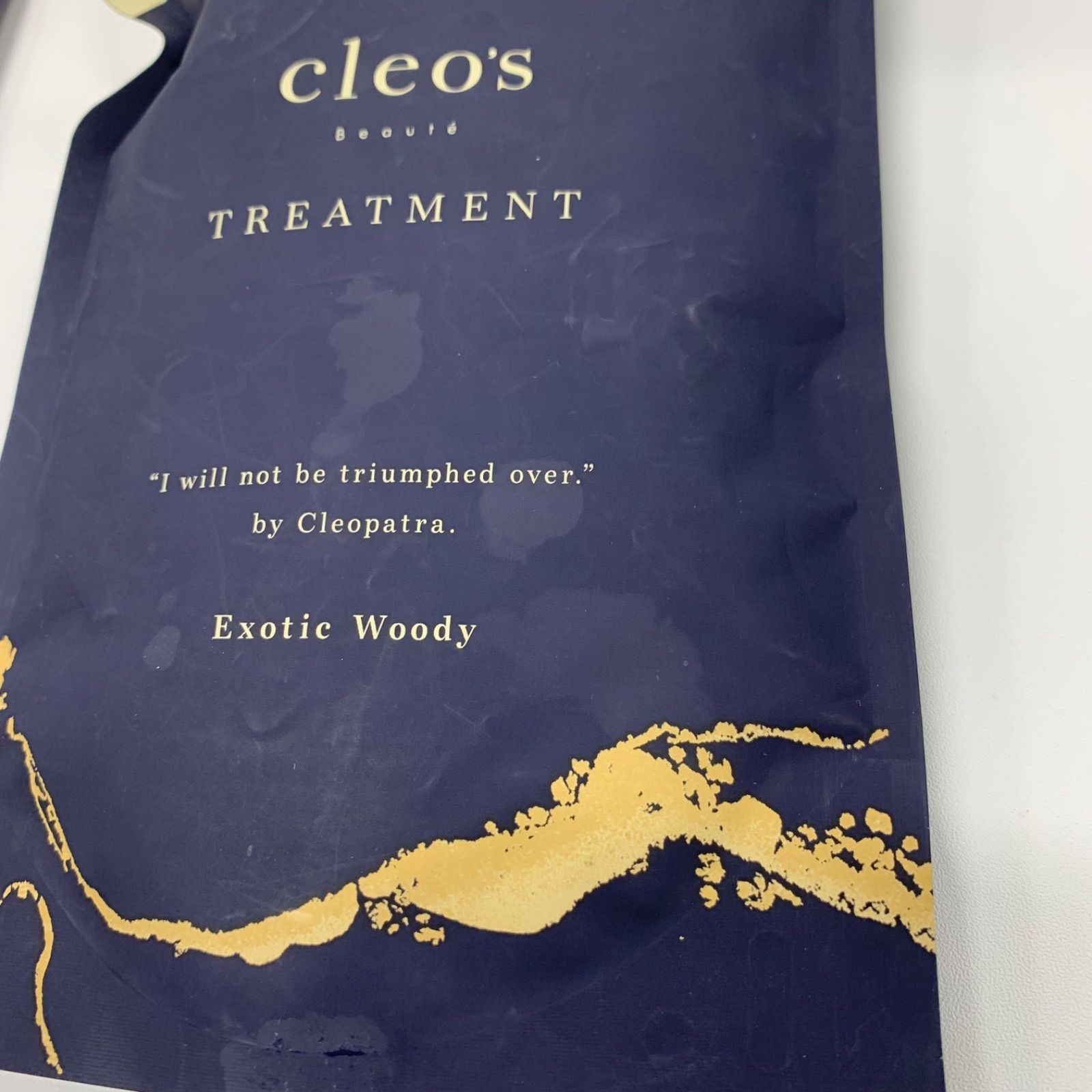 V866 K cleo's クレオズボーテ リペアトリートメント エキゾチック