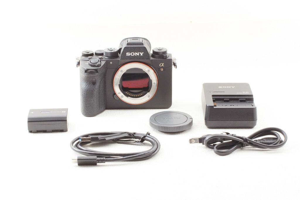 2 フルサイズミラーレス機