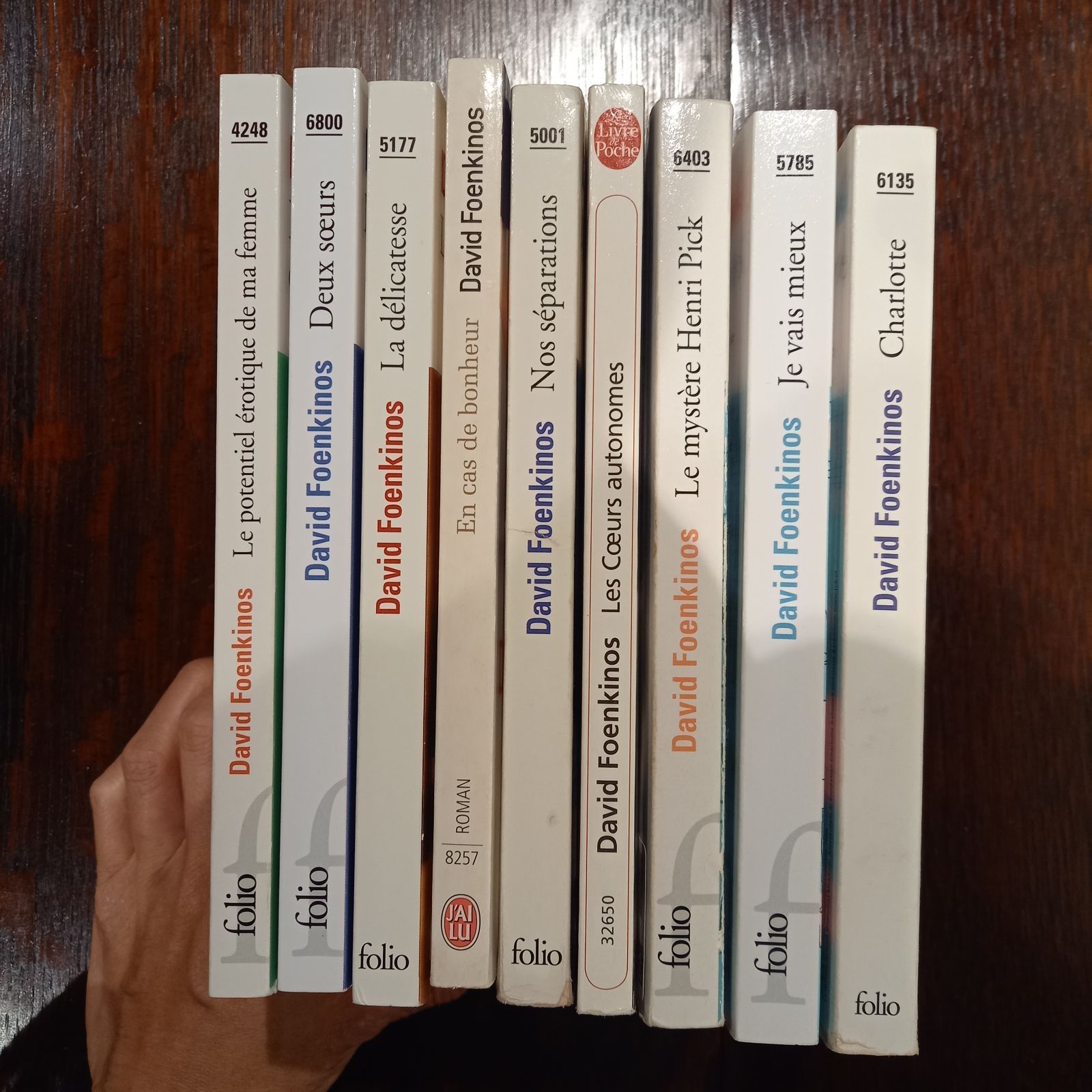 フランス語 洋書 ダヴィド フェンキノス ９冊セット