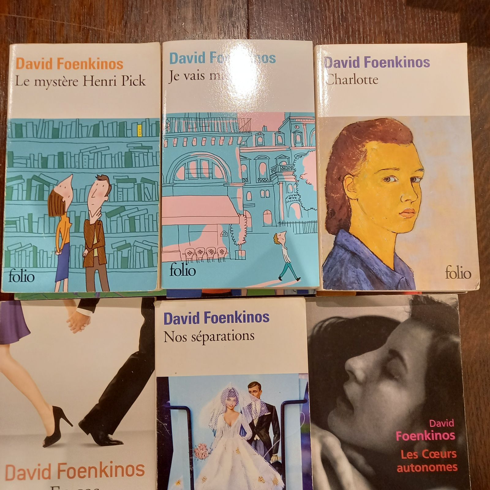  フランス語 洋書 ダヴィド フェンキノス ９冊セット 洋書 本