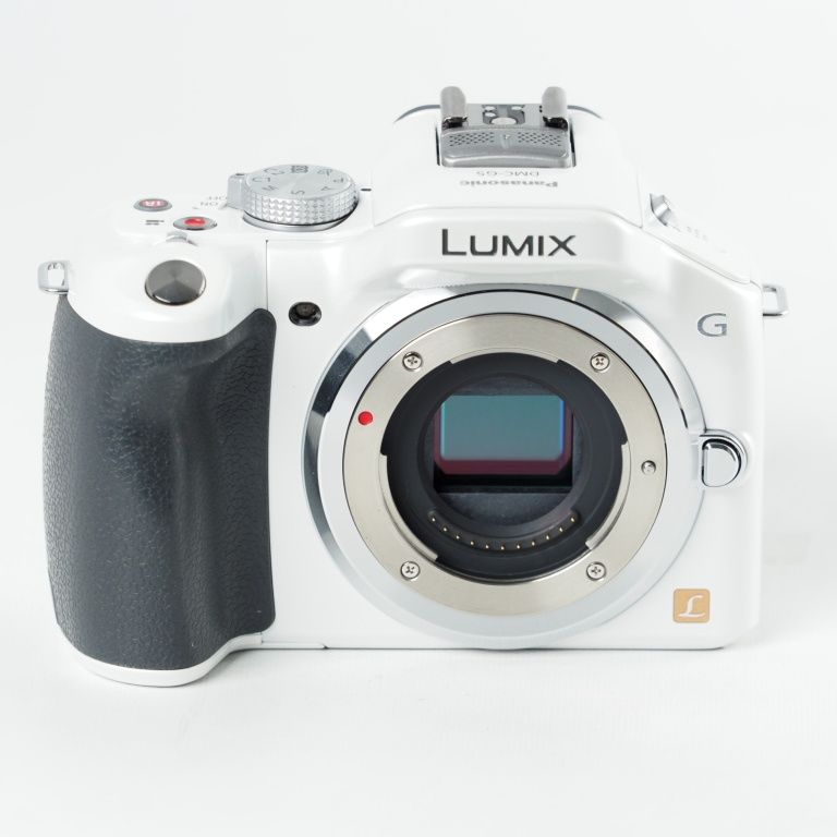 Panasonic パナソニック ミラーレス一眼カメラ LUMIX G5 ボディ 1605万