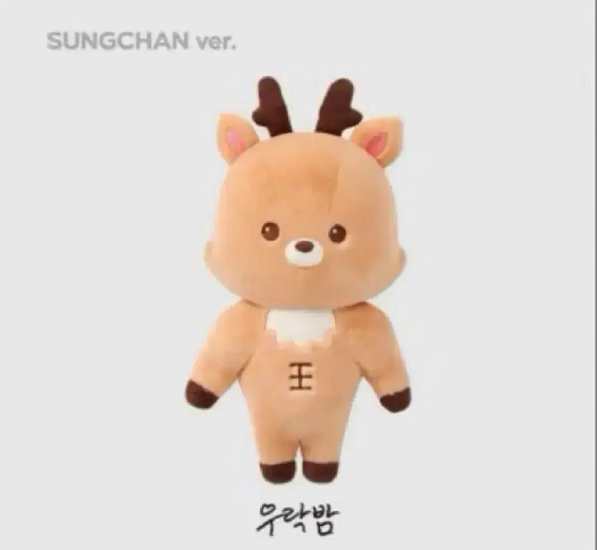 RIIZE ライズ 10cm バレンタインドールキーリング ウンソク RIIZE