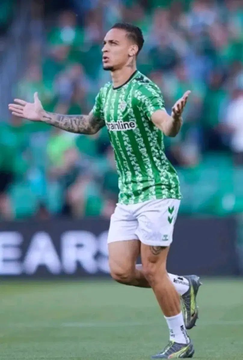 hummel レアルベティス トレーナーTシャツ 卸売