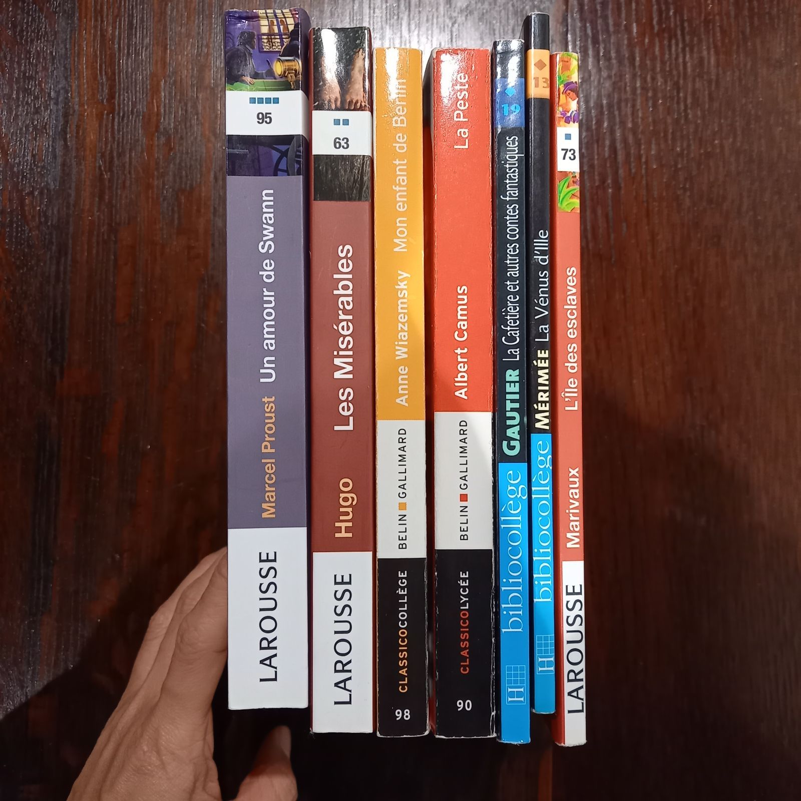 フランス語 洋書 中高生向けの文学学習本 ７冊セット