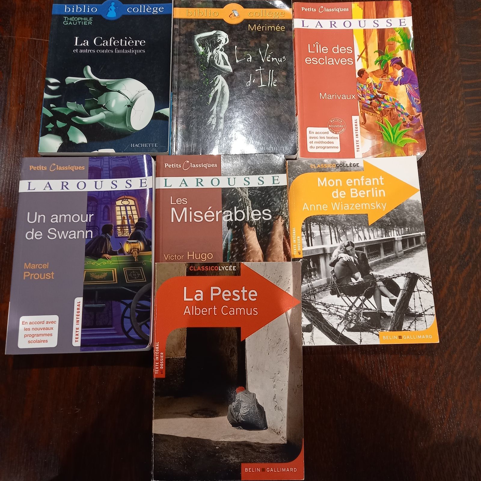 フランス語 洋書 中高生向けの文学学習本 ７冊セット