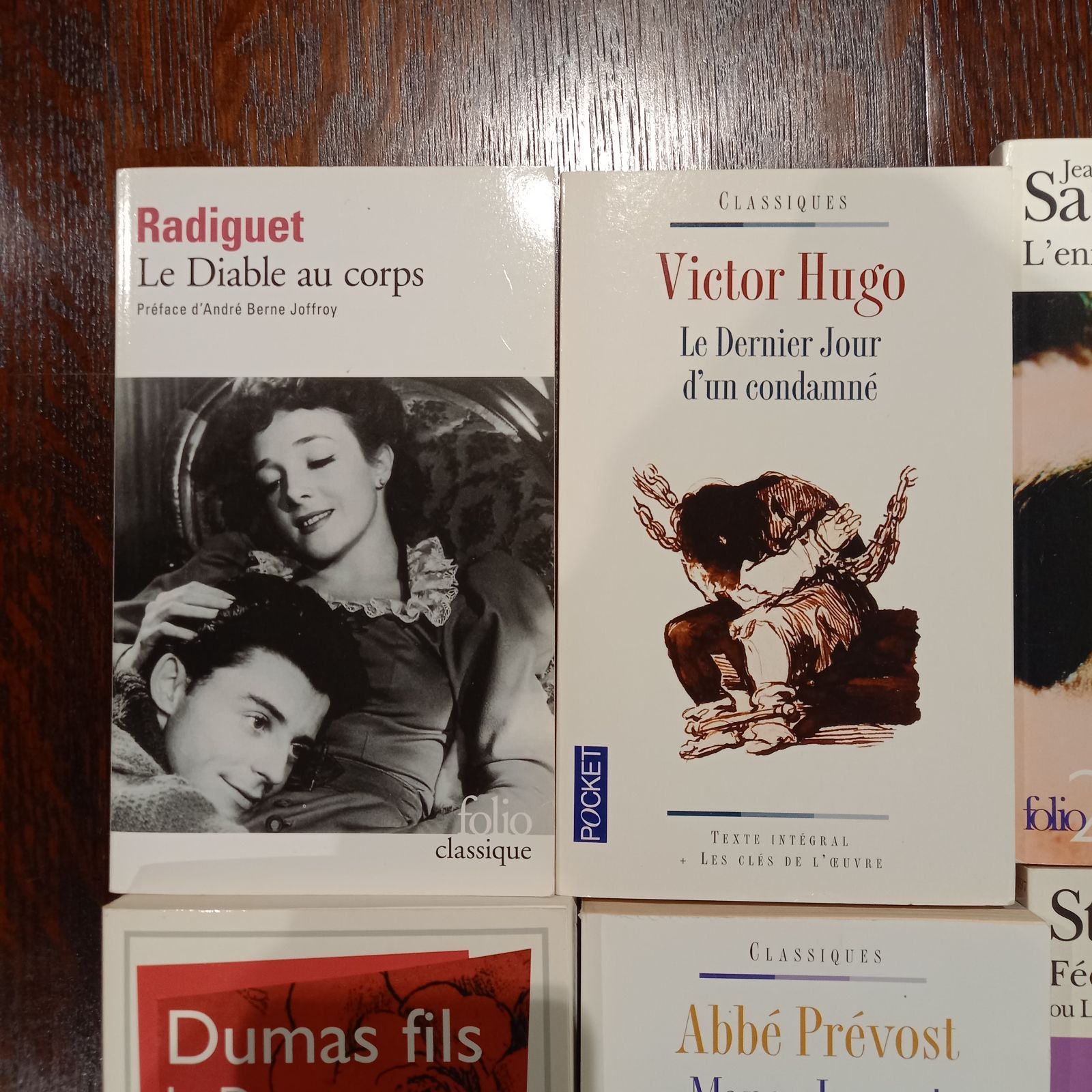 フランス語 洋書 名著 9冊セット