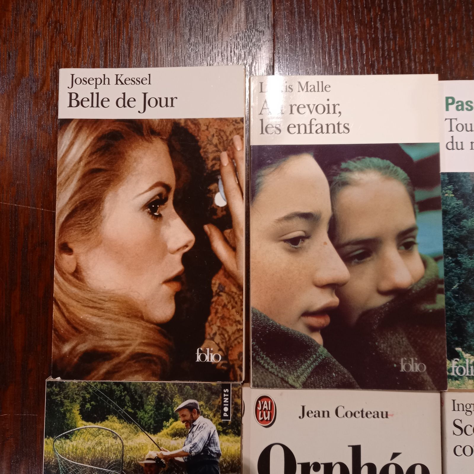 洋書 フランス語 フランス映画関連 ７冊セット