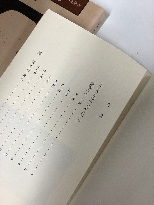 山頭火の本 1～14 14冊セット 春陽堂