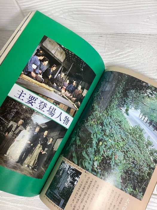 獅子の時代NHK大河ドラマ・ストーリー山田太一によるオリジナル