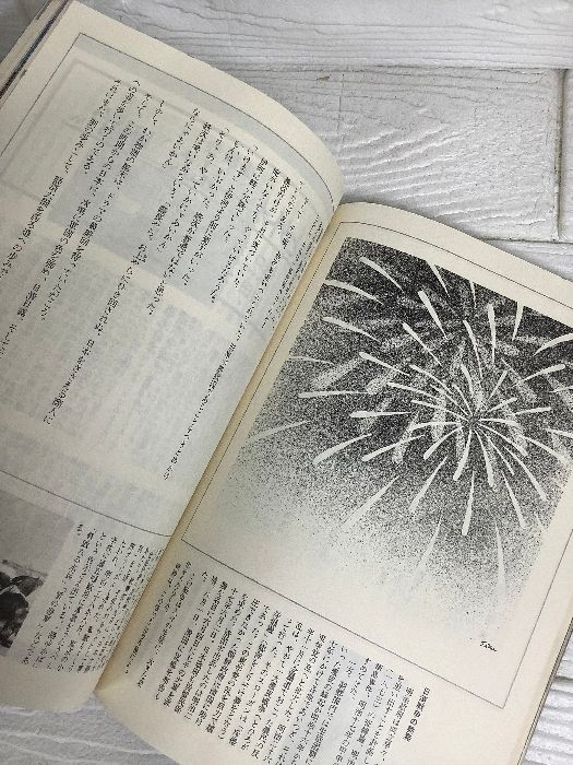 獅子の時代NHK大河ドラマ・ストーリー山田太一によるオリジナル